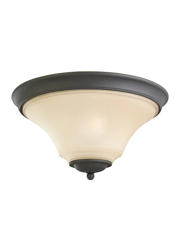Sea Gull Lighting 75375-839