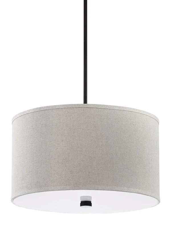 Sea Gull Lighting 65263-710