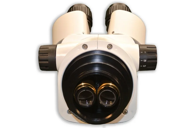 Meiji Techno Em-33/Head