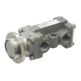 Versa Valves BSI-3309-P-316