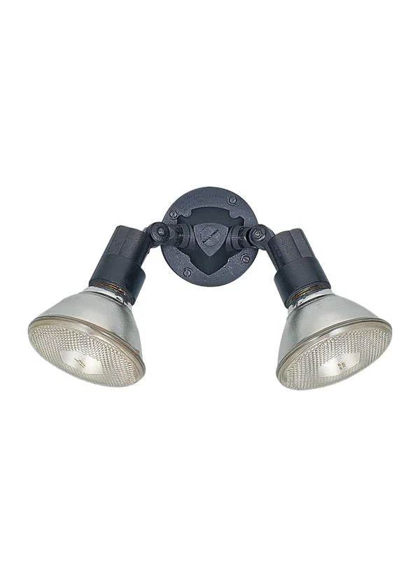 Sea Gull Lighting 8642-12